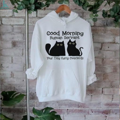 A Special Shirt For Cat Lovers Good Morning Human Servant shirt