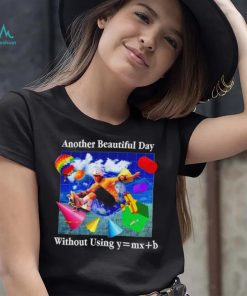 Another beautiful day without using y = mx+b shirt