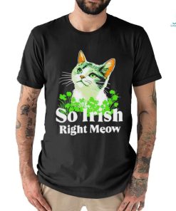 Cat so Irish right meow St. Patrick’s day shirt