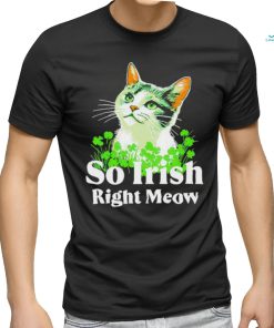 Cat so Irish right meow St. Patrick’s day shirt