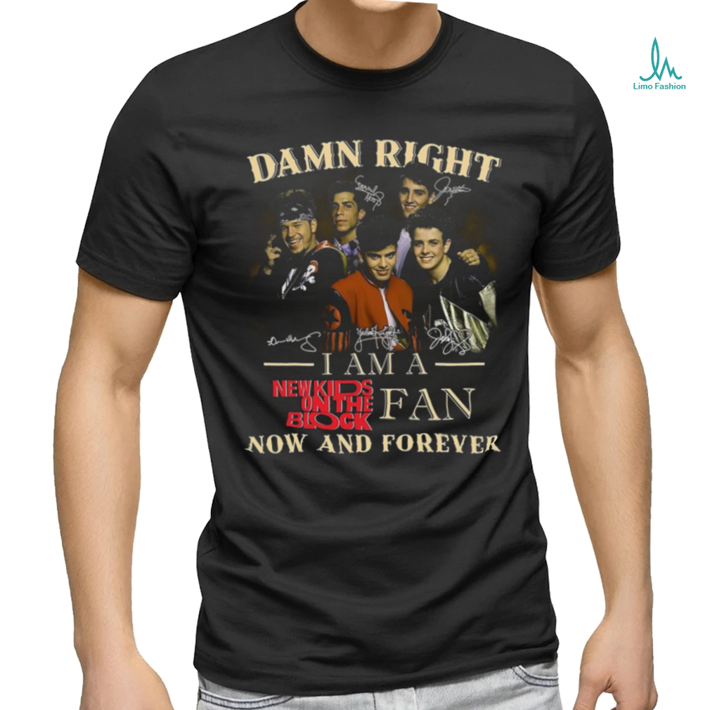 Damn Right I Am A New Kids on The Block shirt Damn Right I Am A New Kids on The Block shirt