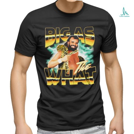 Drake Anaconda big as what graphic shirt