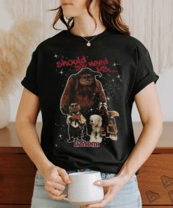 Labyrinth Should You Need Us Brand A Transparen T shirt