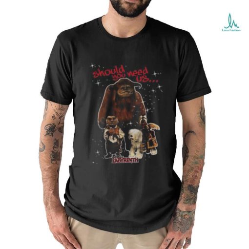 Labyrinth Should You Need Us Brand A Transparen T shirt