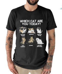 Official which Cat Are You Today Golden Cromch Smooth Brain Tiny Criminal Chonk Violent Impulses Shirt
