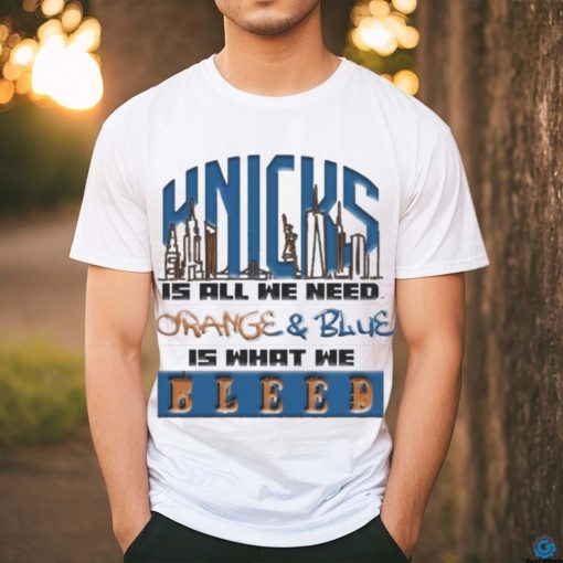 Funny New York Knicks All We Need Orange And Blue T shirt