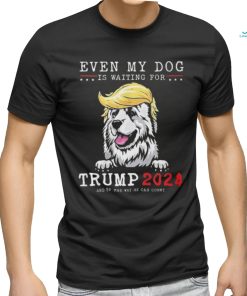 Great Pyrenees Dog Even My Dog Is Waiting For Trump 2024 shirt