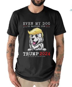 Great Pyrenees Dog Even My Dog Is Waiting For Trump 2024 shirt