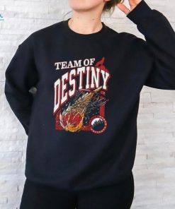 Team Of Destiny Nc Ladies Boyfriend Shirt