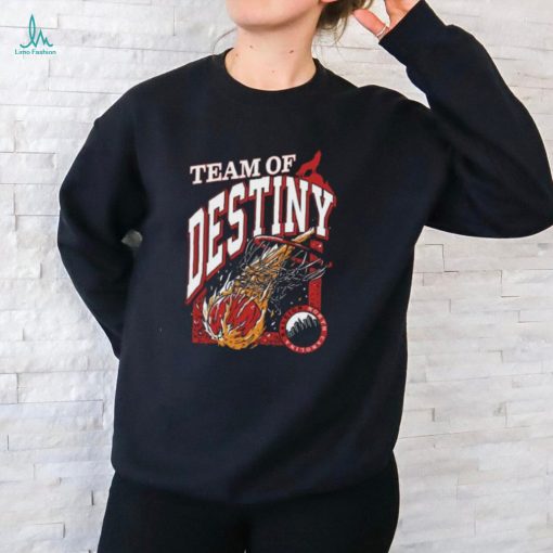 Team Of Destiny Nc Ladies Boyfriend Shirt