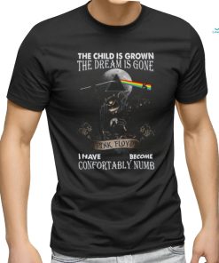 The Child Is Grown The Dream Is Gone I Have Become Confortably Numb Pink Floyd T Shirt