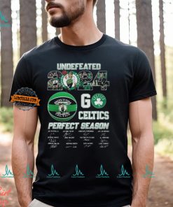 Boston Celtics 2024 Perfect Season Go Celtics T Shirt