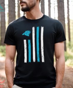 Carolina Panthers Brushstroke flag 4th of July 2024 shirt