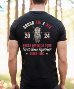 Cicada Swarm 2024 Brood XIII & XIX North America Tour 2024 T Shirt