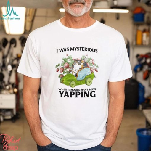 I Was Mysterious When I Should Have Been Yapping T Shirt