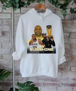 Los Angeles Lakers LeBron James 23 my sunshine cartoon shirt