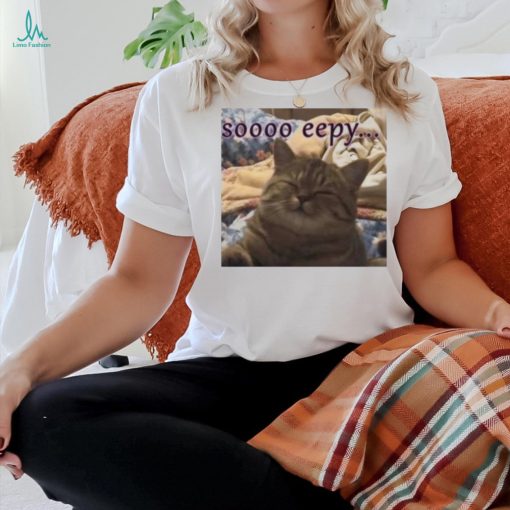 Punching Cat So Eepy Poster Shirt