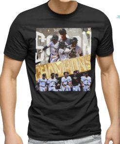 Wofford Terriers 2024 SoCon Baseball Tournament Champions shirt