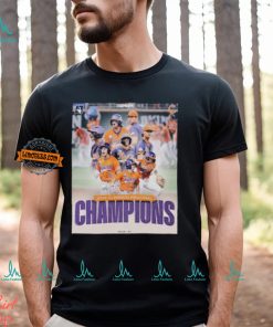 2024 Clemson Tigers Baseball Regional Champions Unisex T Shirt