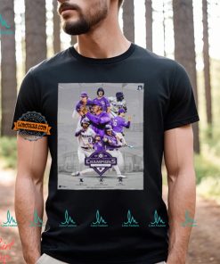 Congrats Kansas State Baseball Champions NCAA Fayetteville Regional And Advances To Super Regionals 2024 Road To Omaha Classic T Shirt