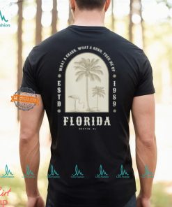 Fuck Me Up Florida Taylor Swift Comfort Colors T shirt
