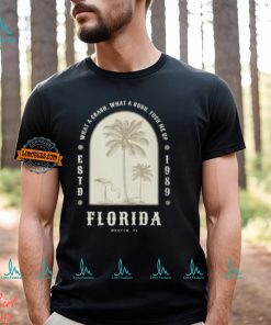 Fuck Me Up Florida Taylor Swift Comfort Colors T shirt