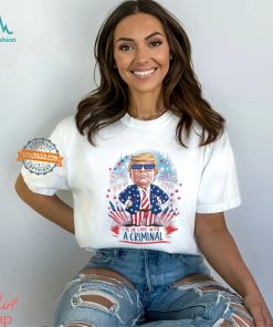 Im In Love With A Criminal Donald Trump Meme Shirt