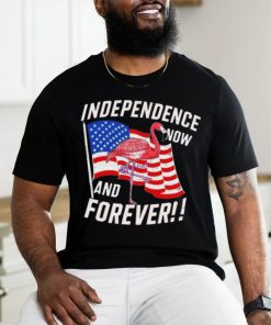 Independence Now And Forever Flamingo 4Th Of July Shirt