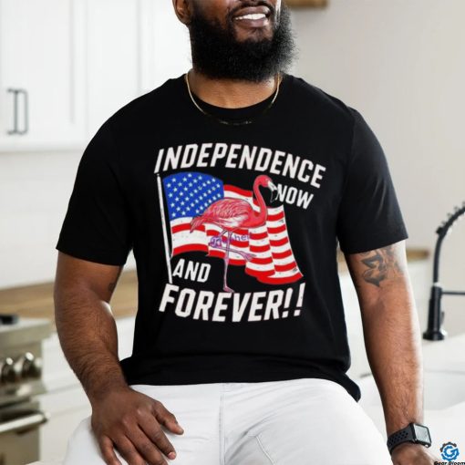 Independence Now And Forever Flamingo 4Th Of July Shirt