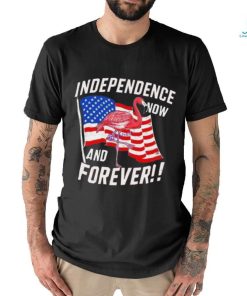 Independence Now And Forever Flamingo 4Th Of July Shirt