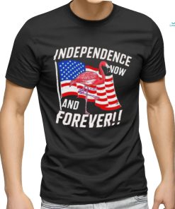 Independence Now And Forever Flamingo 4Th Of July Shirt