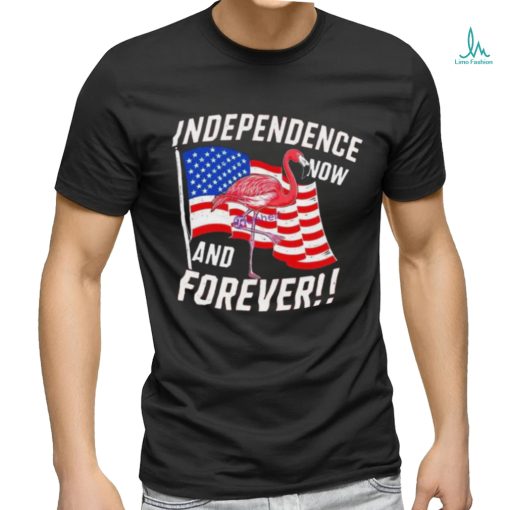 Independence Now And Forever Flamingo 4Th Of July Shirt