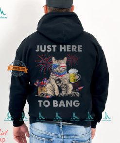 Just Here To Bang Cat 4Th Of July Merica Meowica T Shirt