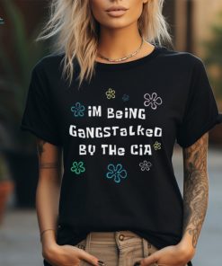 Official Im Being Gangstalked By The Cia t shirt, hoodie, sweater, long sleeve and tank top Official Im Being Gangstalked By The Cia t shirt