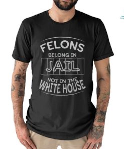 Political Pro Biden Felons Belong In Jail Not White House Men's T shirt