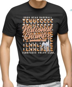 Tennessee Orange Tennessee Volunteers 2024 NCAA Men’s Baseball College World Series Champions Comfort Colors Stack T Shirt