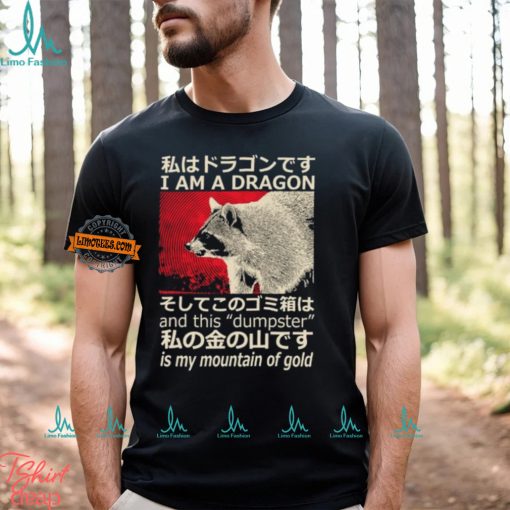Dragon Raccoon Japanese T Shirt