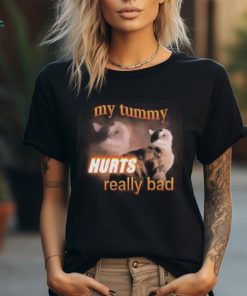 Official My Tummy Hurts Really Bad Cat Shirt