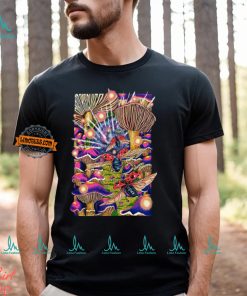 Poster Tour The Disco Biscuits Why We Dance 2024 Shirt