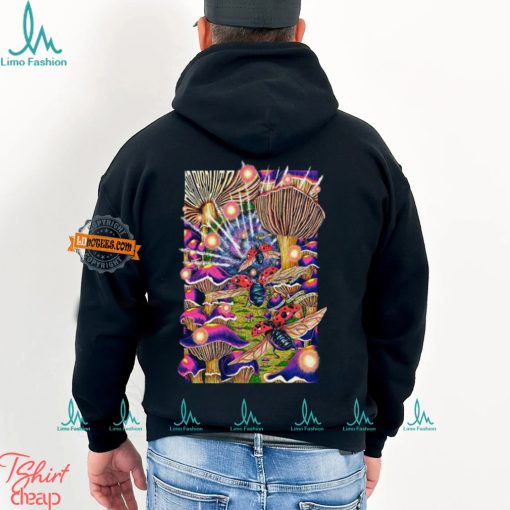 Poster Tour The Disco Biscuits Why We Dance 2024 Shirt