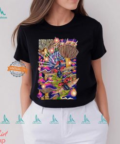 Poster Tour The Disco Biscuits Why We Dance 2024 Shirt