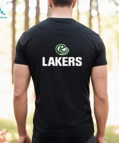 Roosevelt University Shirt