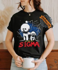 Sigma Meme T Shirts