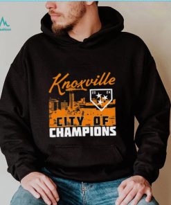 The 2024 Champions Graphic Tee shirt, hoodie, sweater, long sleeve and tank top The 2024 Champions Graphic Tee shirt