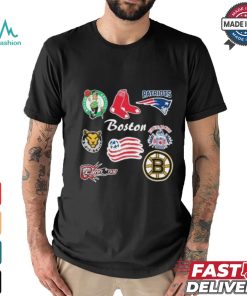 Boston Sports Teams 2024 Vintage Logo Shirt