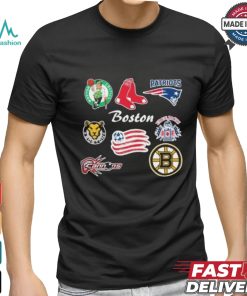 Boston Sports Teams 2024 Vintage Logo Shirt