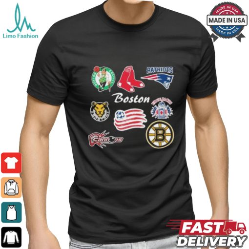 Boston Sports Teams 2024 Vintage Logo Shirt