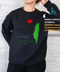 Ceasefire palestine fundraiser 2024 shirt