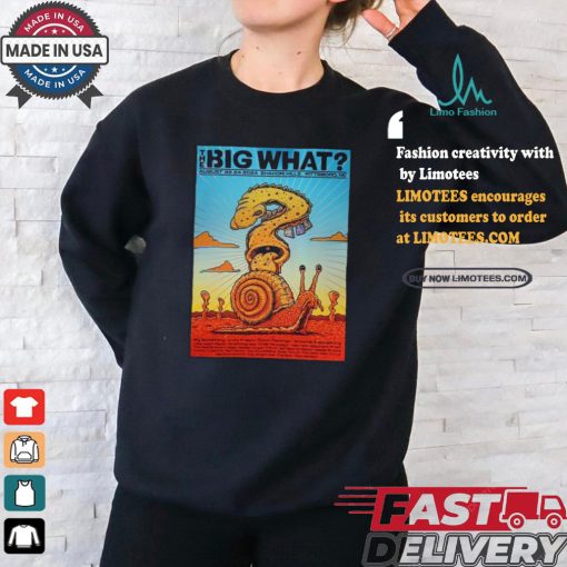 Design The Big What Festival Shakori Hills Aug 22 2024 Poster Shirt