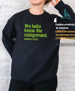 Igsartstudio We Hella Know The Assignment Kamala 2024 Tee shirt